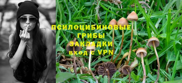 альфа пвп Надым