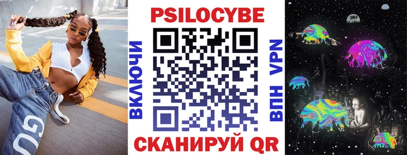 где купить наркоту  Куртамыш  Галлюциногенные грибы Psilocybe 