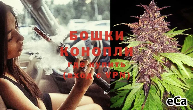 где найти наркотики  Куртамыш  Бошки Шишки White Widow 